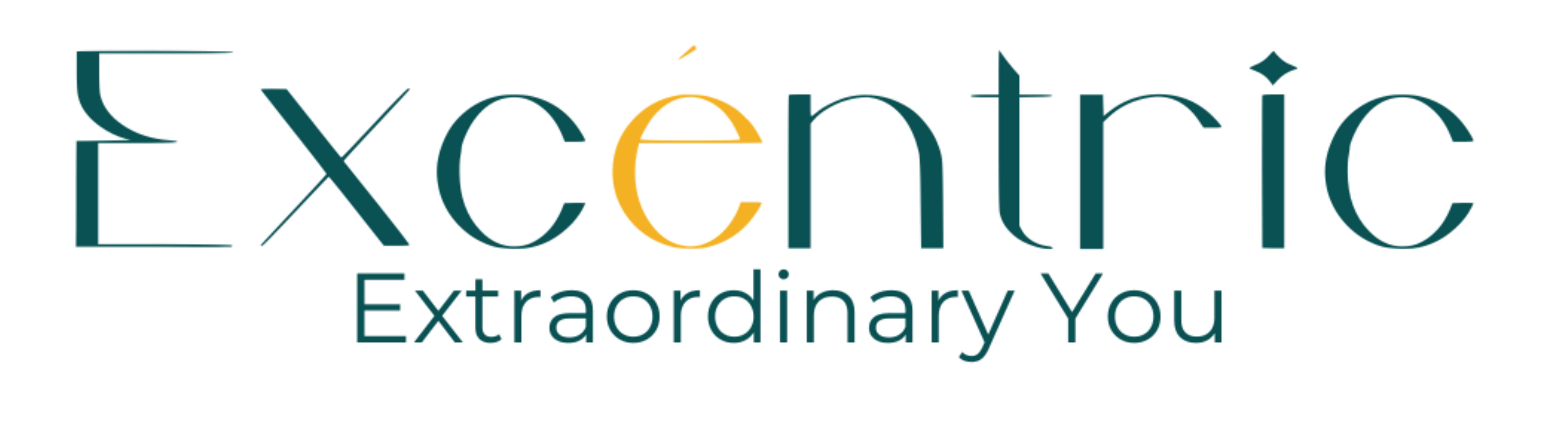 Logo Rectangular Grande